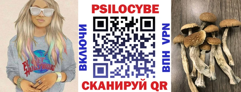Галлюциногенные грибы Psilocybe hydra рабочий сайт Дзержинский купить наркотик
